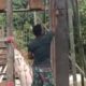Percepat Pembangunan Jembatan Gantung Perintis Garuda, Babinsa Bantu Pengerjaan Jembatan