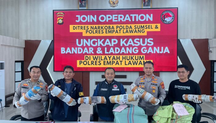 Polda Sumsel Sita 220 Kg Ganja dari Ladang 20 Hektar, Empat Pelaku Masuk DPO