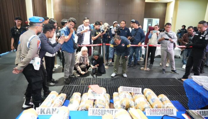 Polda Sumsel Bongkar Sindikat Ladang Ganja 20 Hektar di Empat Lawang, 220 Kg Ganja Disita