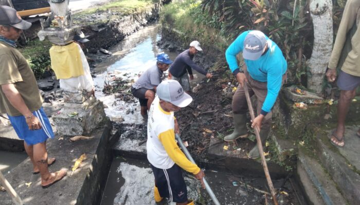 Bhabinkamtibmas Desa Beraban Atensi Giat Subak Normalisasi Saluran Temukuaye Irigasi Subak Gadon 2