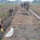 Jalan TMMD Hampir Rampung di Pasar Rawa, Akses Terbuka—Bagaimana Dampak Nyatanya bagi Warga?