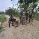 Jalan Penghubung Antar Dusun di Pasar Rawa Hampir Rampung, Warga Mulai Rasakan Manfaat TMMD