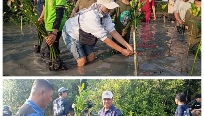Komunitas Informasi Masyarakat Surabaya Turut Serta Kegiatan Penanaman Bibit Pohon Mangrove di Pesisir Wisata Bahari Sontoh Laut