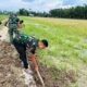 Infrastruktur TMMD Langkat Dikebut: Jalur Tani Rampung Dua Hari Lagi, Saluran Irigasi Mulai Dialiri Air