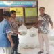 Dukung Ketahanan Pangan, Bhabinkamtibmas Denbantas Dampingi Penyerahan 6.000 Bibit Ikan Nila kepada Warga