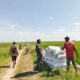 Senyum Sumringah Petani Mane Kawan Saat Panen Padi Didampingi Babinsa