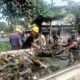 Kodim 1310/Bitung Gelar Karya Bakti Gerakan Indonesia Asri, Bersihkan Selokan dan Taman Median Jalan