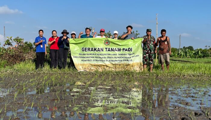 Desa Guwang Dorong Pertanian Organik, Gerakan Tanam Padi Jadi Langkah Nyata Tingkatkan Produksi dan Kesejahteraan Petani
