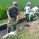 Sinergi Upsus Ketahanan Pangan, Serma Aminoto Bersama Poktan Margo Rukun Bersihkan Saluran Irigasi
