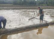Semangat di Tengah Lumpur, Babinsa Dampingi Petani Siapkan Musim Tanam