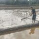 Semangat di Tengah Lumpur, Babinsa Dampingi Petani Siapkan Musim Tanam