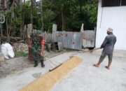 Babinsa Bantu Jemur Gabah, Dampingi Petani Jaga Mutu Hasil Panen
