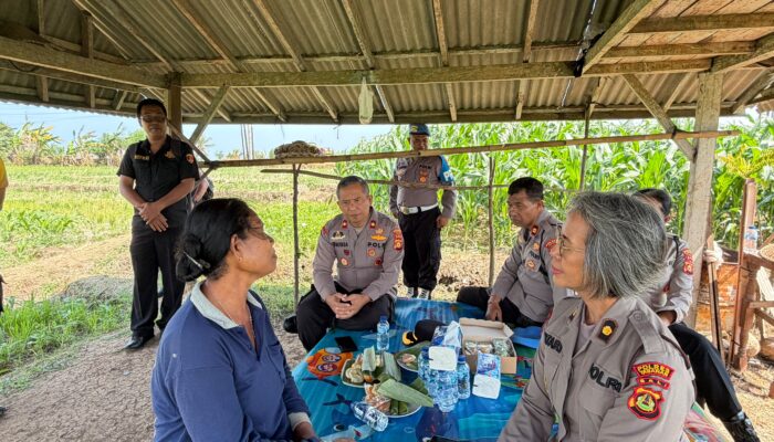 Wakapolres Tabanan Turun Langsung Rawat Tanaman Jagung, Wujud Nyata Dukungan Polri terhadap Ketahanan Pangan 2026