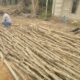 TMMD Ke-129 Kodim 0418/Palembang Siapkan Drainase dan Pondasi Jalan Demi Infrastruktur Berkualitas