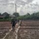 Dukung Ketahanan Pangan, Satgas TMMD ke-129 Optimalkan Lahan Pertanian di Talang Jambi