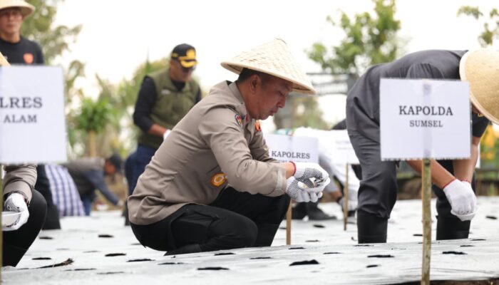 Kapolda Sumsel Akselerasi Program Ketahanan Pangan, Pagar Alam Siap Jadi Sentra Bawang Putih Nasional