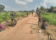 Pemasangan Cerucuk Gelam Percepat Progres Jalan TMMD Kodim 0418/Palembang