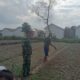 TMMD Ke-129 Kodim 0418/Palembang Perkuat Swasembada Pangan Melalui Lahan Pertanian Terpadu