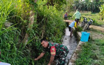 Dukung Ketahanan Pangan, Serda Nurhatib Dampingi Poktan Margo Rukun III Bersihkan Irigasi Sawah