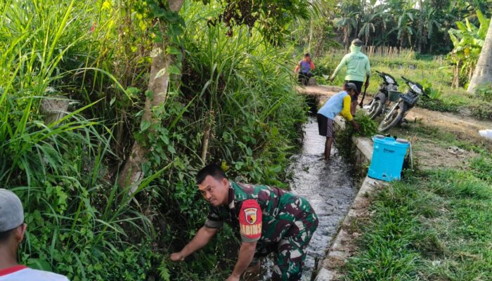 Dukung Ketahanan Pangan, Serda Nurhatib Dampingi Poktan Margo Rukun III Bersihkan Irigasi Sawah