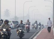 Kabut Asap Mengepung Kota Palembang, Walikota Akan Bagikan 10 Ribu Masker Gratis Esok Hari