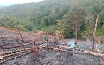 Peduli Wilayah,Babinsa Serda Irham Melaksanakan Pengecekan Situasi Karhutla di Palas