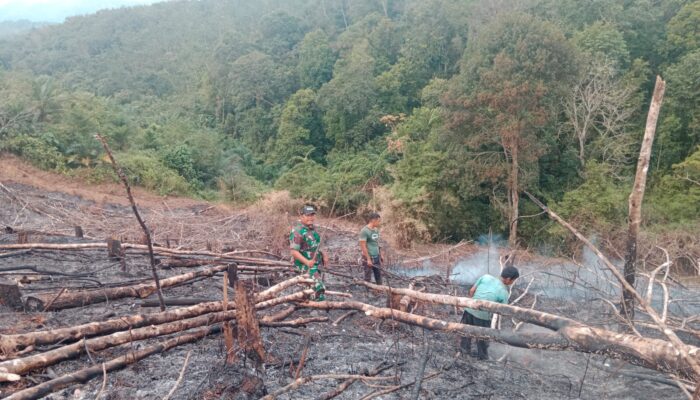 Peduli Wilayah,Babinsa Serda Irham Melaksanakan Pengecekan Situasi Karhutla di Palas