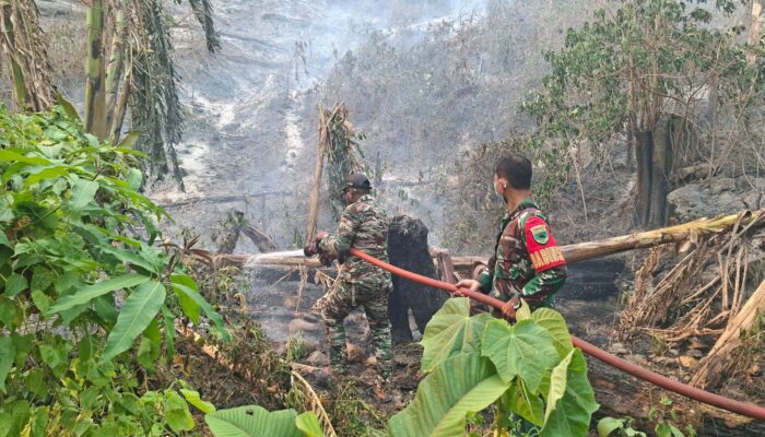 Gerak Cepat TNI dan Warga Padamkan Kebakaran Lahan di Momiwaren