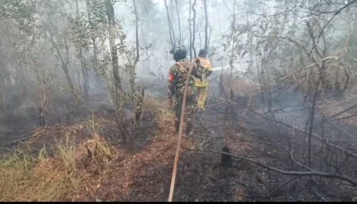 Tim Gabungan Berhasil Padamkan Karhutla di Pulo Kerto