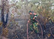 Kebakaran Lahan Seluas 1 Hektare Terjadi di Kaplingan DPRD Palembang, Api Berhasil Dipadamkan