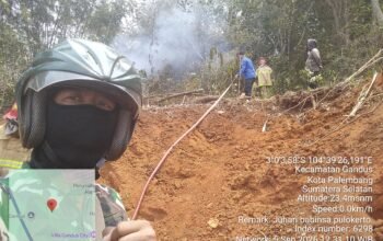 Kebakaran Lahan Seluas 5.000 Meter Persegi Terjadi di Gandus Palembang
