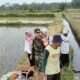 Jaga Ketahanan Pangan, Babinsa Kedawung Turun Ke Sawah Bantu Petani Sedot Air