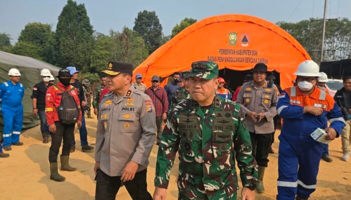 Pangdam XIX/TT dan Kapolda Riau Tinjau 34 Hektare Lahan Terdampak Karhutla di Dayun