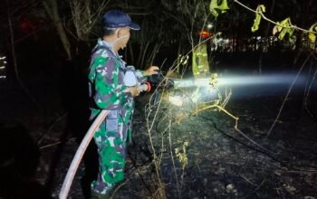 Lahan Semak Belukar Terbakar di Bukit Baru, Damkar Kodim 0418 dan Warga Bergerak Padamkan Api