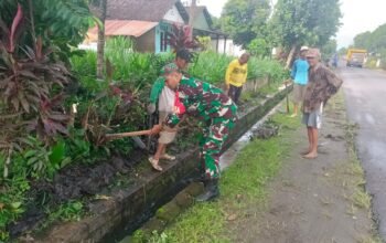 Wujud Kepedulian Lingkungan, Babinsa Koramil Udanawu Bersama Warga Gelar Karya Bakti Saluran Irigasi