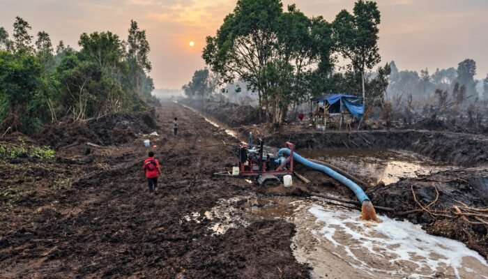 Cegah Karhutla di Musim Kering, PT RHM Perkuat Pembasahan Lahan Gambut