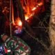Aksi Sigap Babinsa Dan Warga Padamkan Kebakaran Hutan Jati Di Pagerwojo Blitar