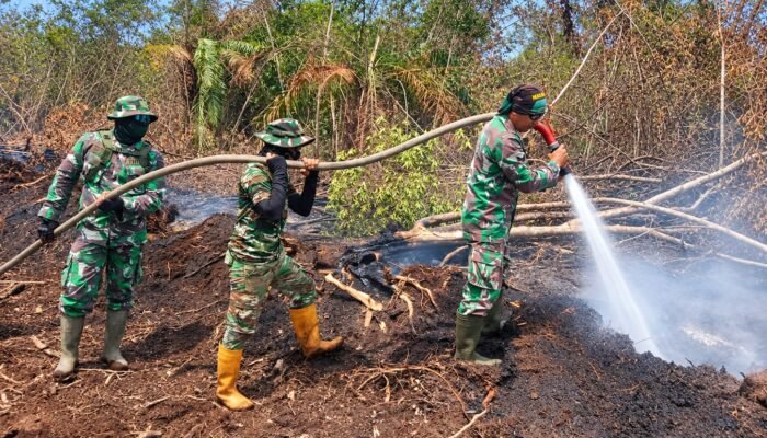 Kodam XIX/Tuanku Tambusai Perkuat Upaya Pendinginan Lahan Karhutla Seluas Hampir 490 Hektare di Inhu