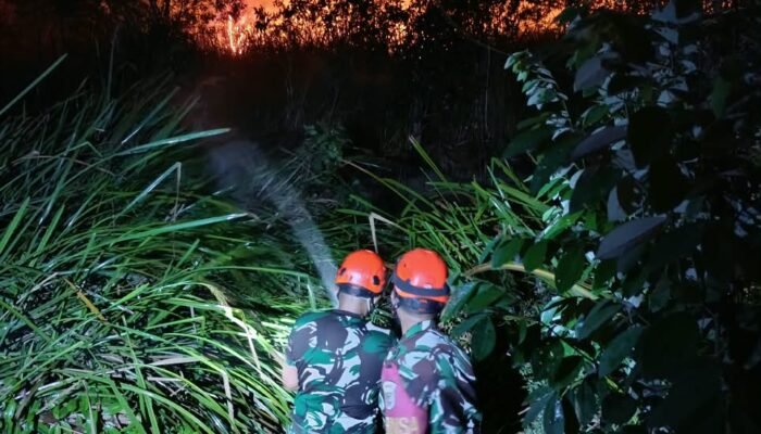 Lahan Kosong 2 Hektare di Bukit Baru Palembang Terbakar, Api Dipadamkan Petugas dan Warga
