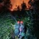 Lahan Kosong 2 Hektare di Bukit Baru Palembang Terbakar, Api Dipadamkan Petugas dan Warga