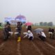 ‎DARI TANGAN PRAJURIT, TUMBUH HARAPAN: KODAERAL I TANAM KEDELAI, SEMAI KETAHANAN PANGAN   ‎