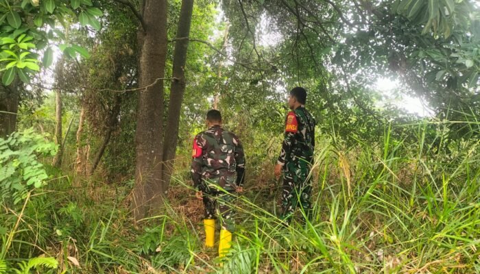 Babinsa Koramil 02/Pakjo Patroli Karhutla di Palembang, Tidak Ditemukan Titik Hotspot