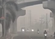 Dampak Kabut Asap Dan Kaitannya Dengan Pembelajaran Daring di Kota Palembang