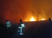 Satgas Karhutla Kodim 0418/Palembang Tangani Kebakaran Lahan 5 Hektare di Gandus