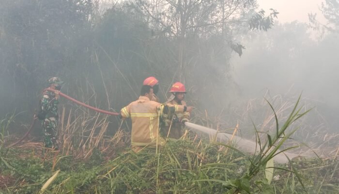 Satgas Karhutla Kodim 0418/Palembang Bersama Damkar Padamkan Kebakaran Lahan di Kertapati