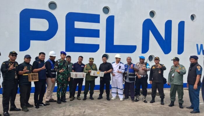 Kodaeral XIV Gagalkan Penyelundupan 16 Ekor Burung Dilindungi di atas Kapal Penumpang KM Gunung Dempo 