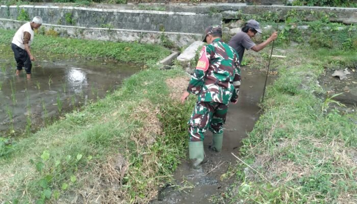 Cegah Genangan Dan Optimalkan Irigasi, Babinsa Koramil 0808/20 Sananwetan Gotong Royong Bersihkan Aliran Air Lahan Padi