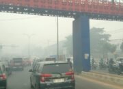Palembang Diselimuti Asap Tebal, Kinerja Satgas Karhutla Dipertanyakan?