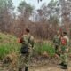 Koramil Lemabang Patroli Karhutla di Sungai Selincah, Cek Lahan Bekas Terbakar Seluas 2 Hektare