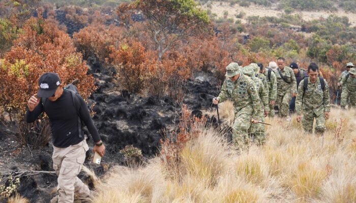 Jalan Kaki 12 Jam Susuri Gunung Lawu, Danrem Erwin Perkuat Mitigasi Karhutla